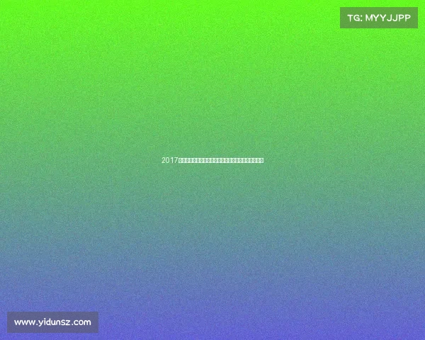 2017年武汉足球赛事全程回顾球员风采球队战绩与社会影响