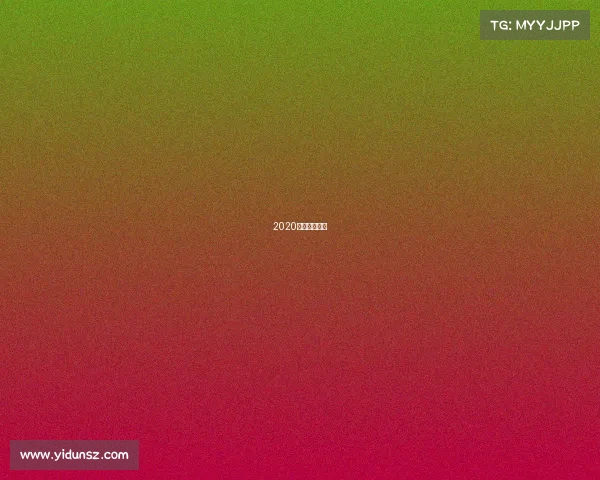 2020赛季巴甲视频